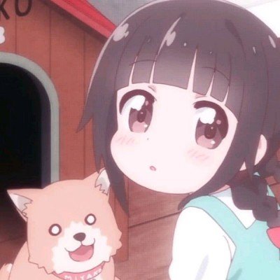 女子养鹦鹉20天感染寄生虫